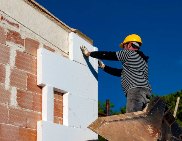 Best Attic Insulation Installation  in Eddyville, IA