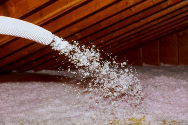 Insulation Contractors for Homes in Eddyville, IA