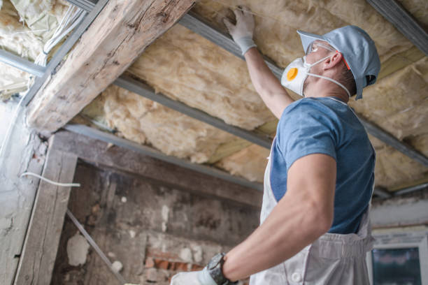 Best Blown-in Insulation  in Eddyville, IA