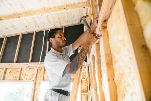 Best Attic Insulation Installation  in Eddyville, IA
