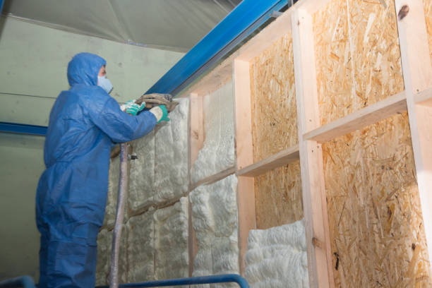 Best Insulation Contractor Near Me  in Eddyville, IA
