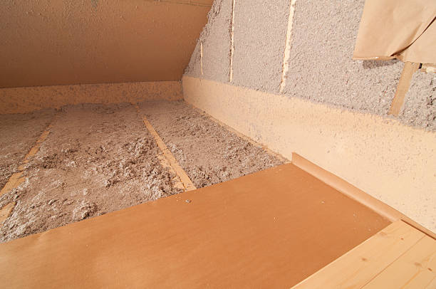 Best Insulation Removal  in Eddyville, IA