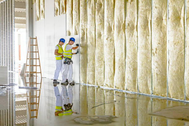 Best Affordable Insulation Services  in Eddyville, IA